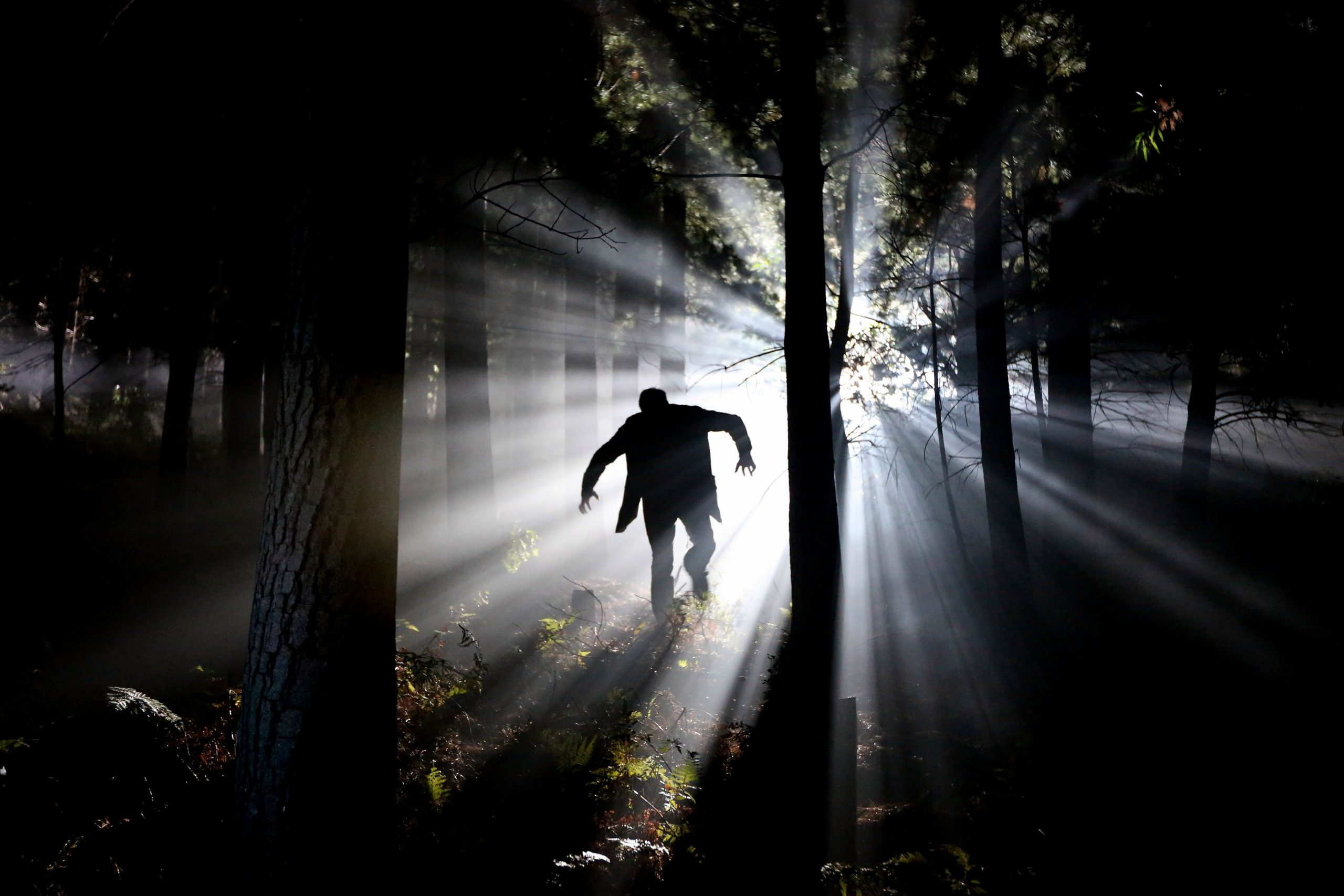 Silhouette d'une personne courant dans une forêt sombre